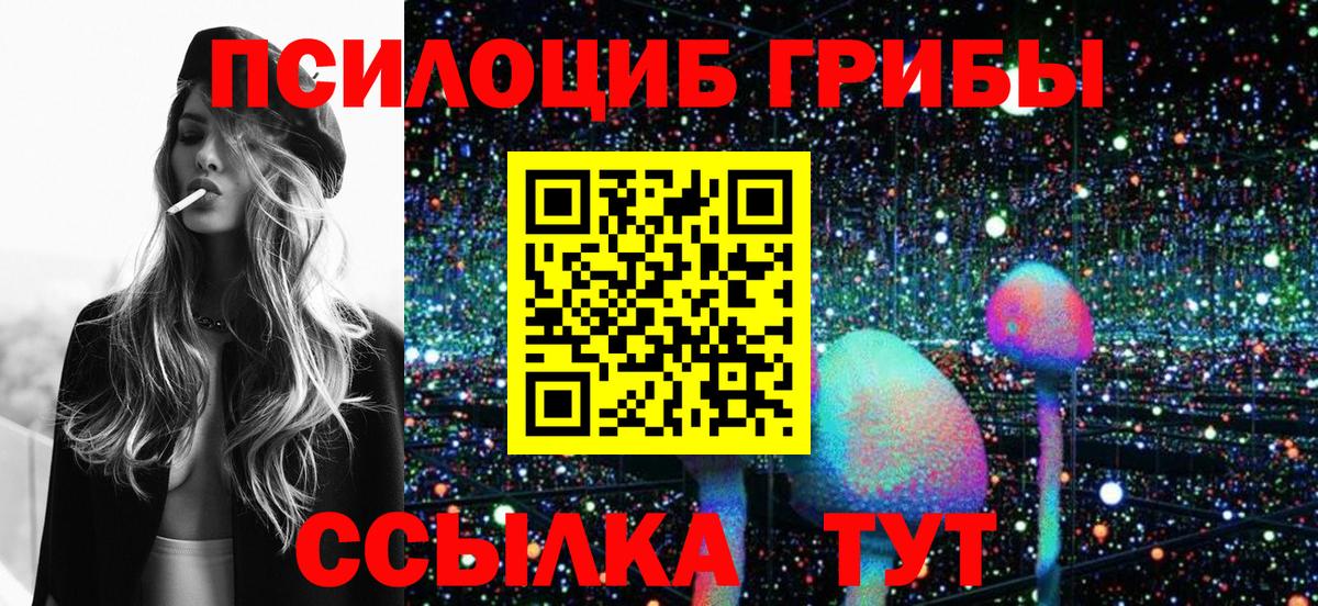 Псилоцибиновые грибы Cubensis Баксан