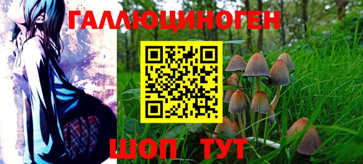 Псилоцибиновые грибы Psilocybine cubensis  Вход с VPN  Псилоцибиновые грибы GOLDEN TEACHER  Баксан 